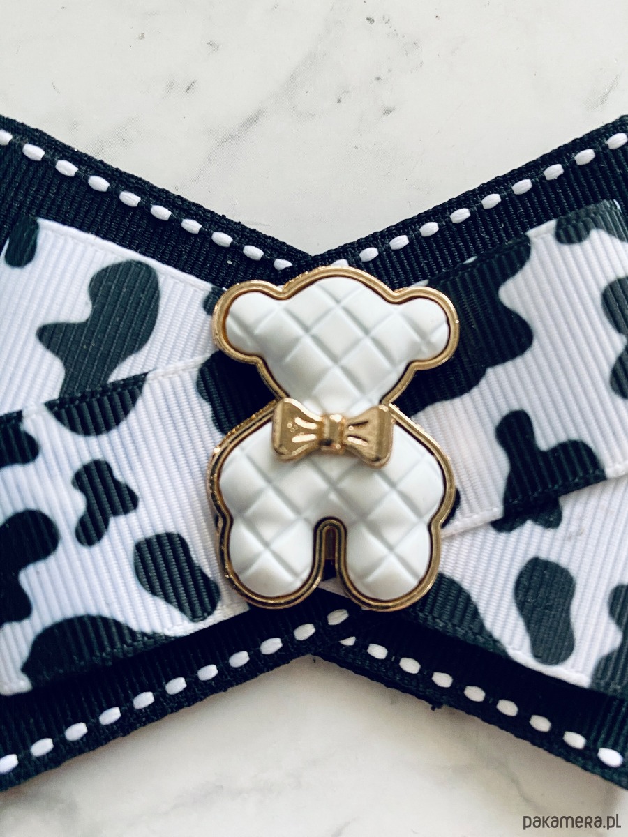 broszki Brosza z MISIEM Nowość 4