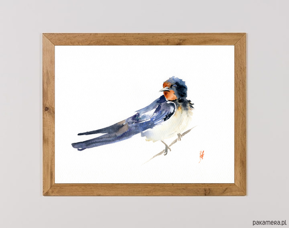 obrazy Oryginalna akwarela. Jaskółka 1