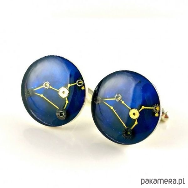 spinki do mankietów Spinki DROBINY Przeznaczenia  dla "Lwa" 1