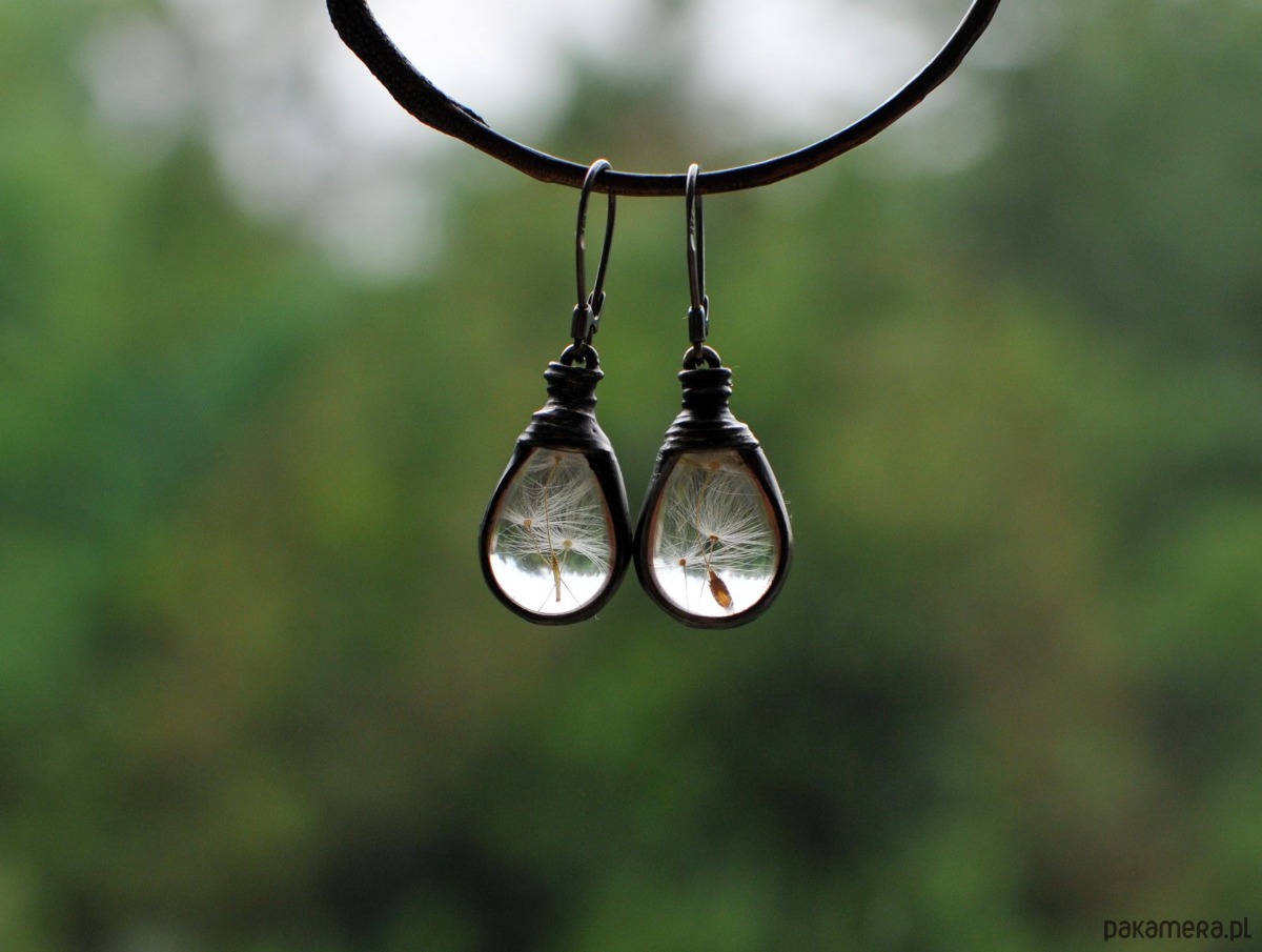 kolczyki - inne Kolczyki z dmuchawcem 1