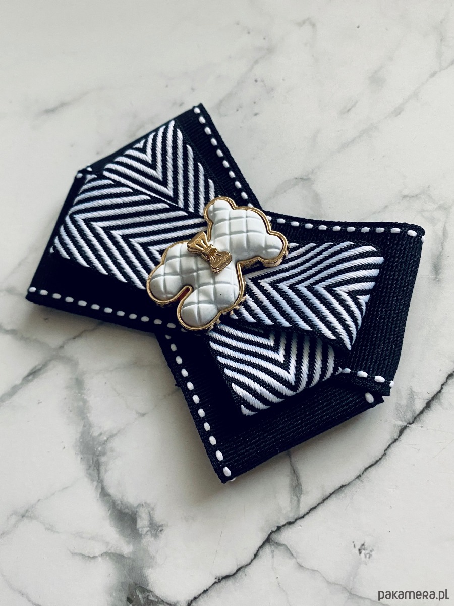 broszki Brosza z MISIEM Nowość 1