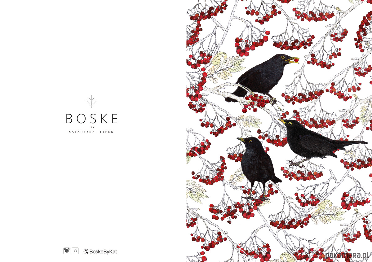 kartki okolicznościowe - wydruki Kosy w jarzębinie- Kartka- Grafika- Ilustracja- Ptaki 3