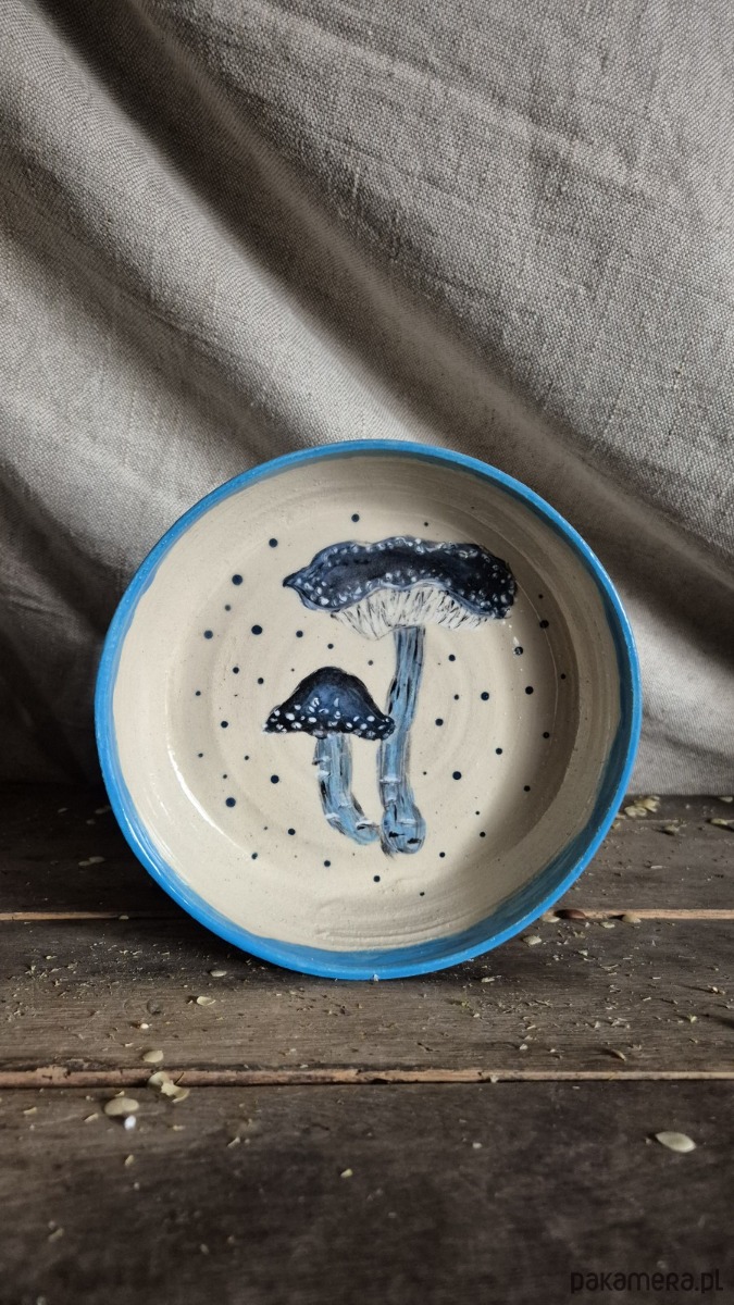 patery i talerze Mhchomor niebieski Talerz Głeboki duży, dla Grzybiarza, Talerz ilustrowany 1