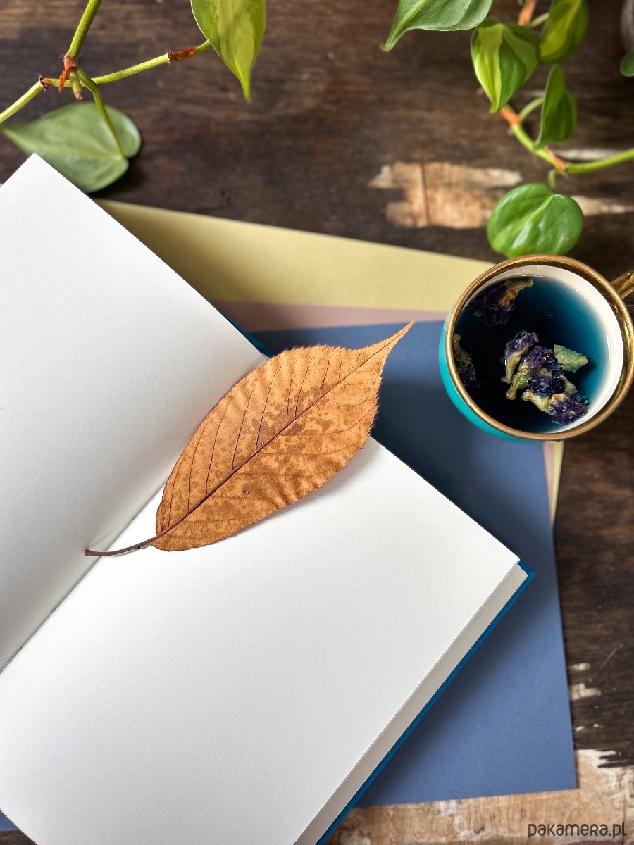 notatniki i albumy Notes Somnium (błękit) 4