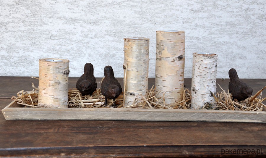 świeczniki i świece Brzozowe świeczniki-pieńki 3szt 5