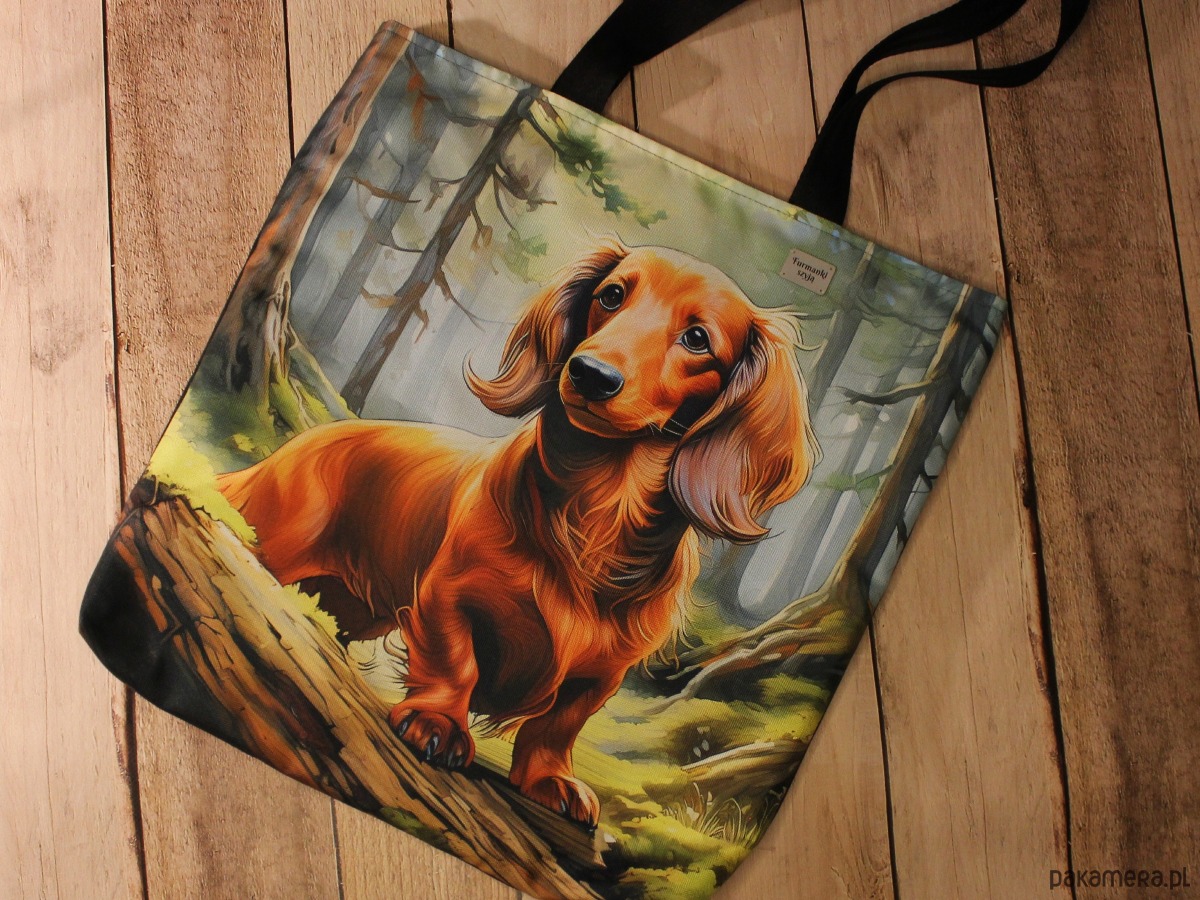 torby na ramię Torba jamnik długowłosy 2