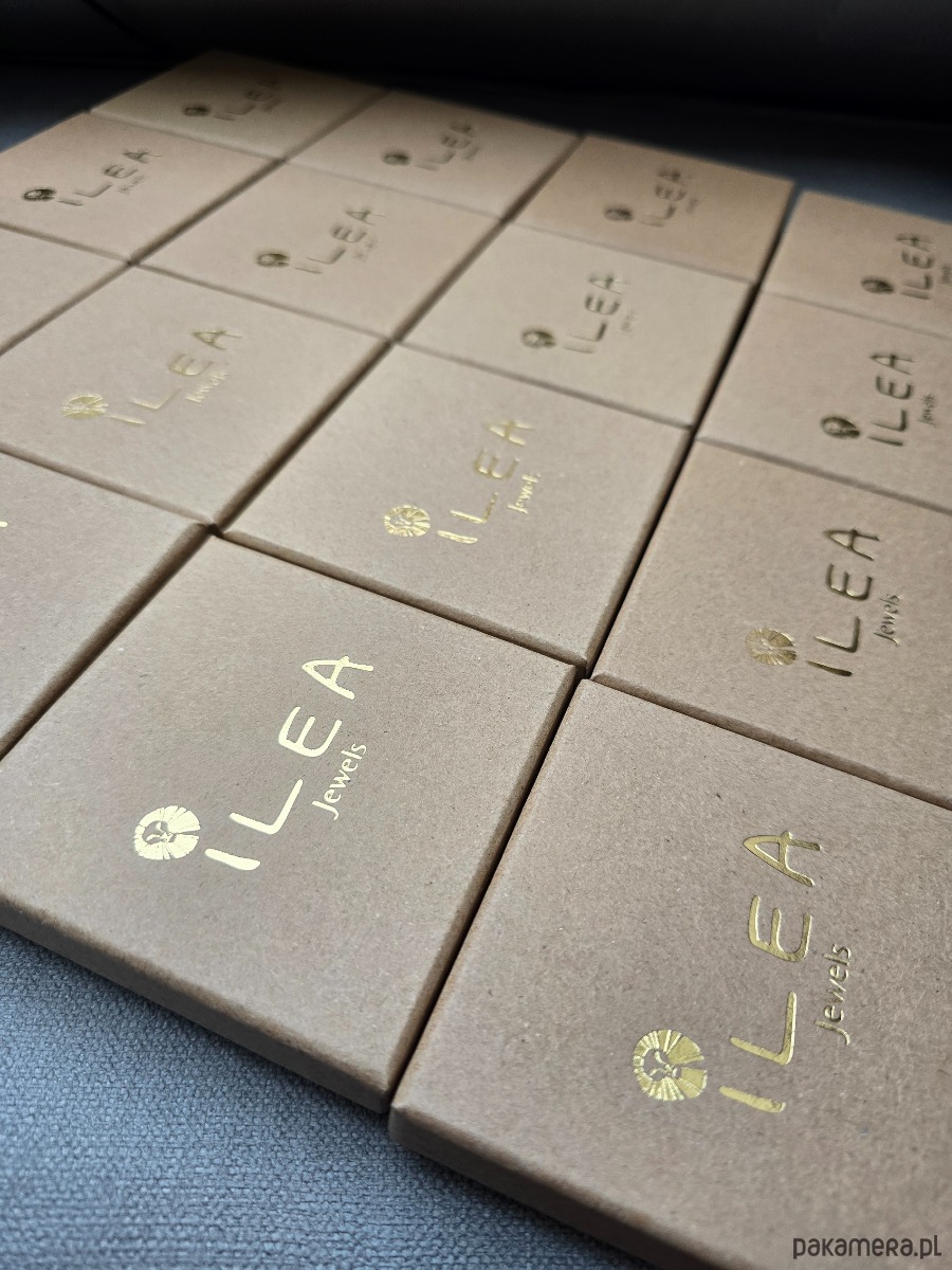 srebrne naszyjniki Naszyjnik Ginko 4