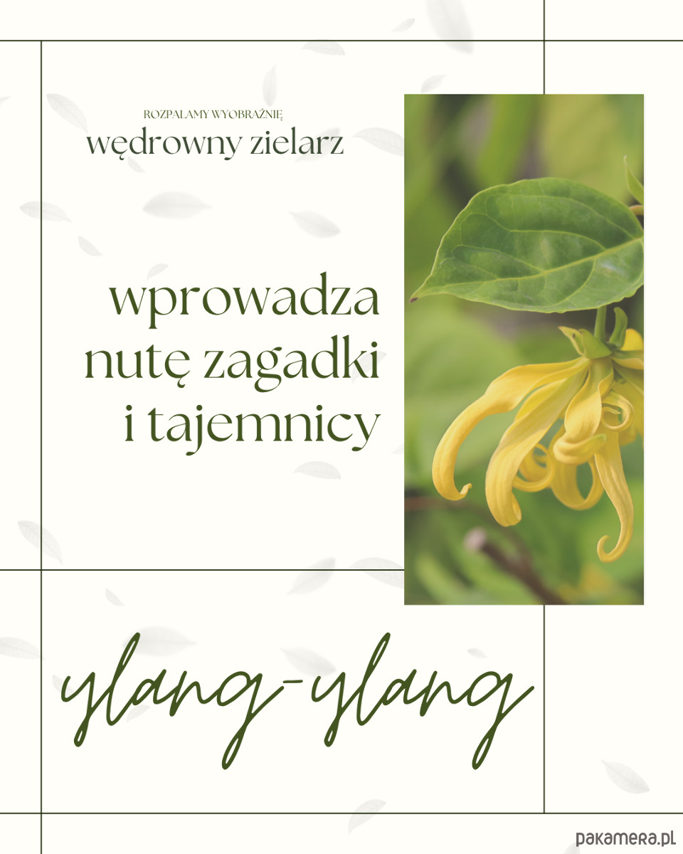 świeczniki i świece Wędrowny zielarz 4