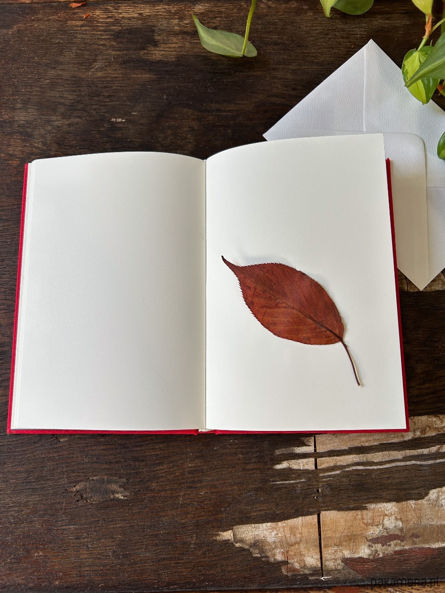 notatniki i albumy Notes Somnium (czerwień) 3