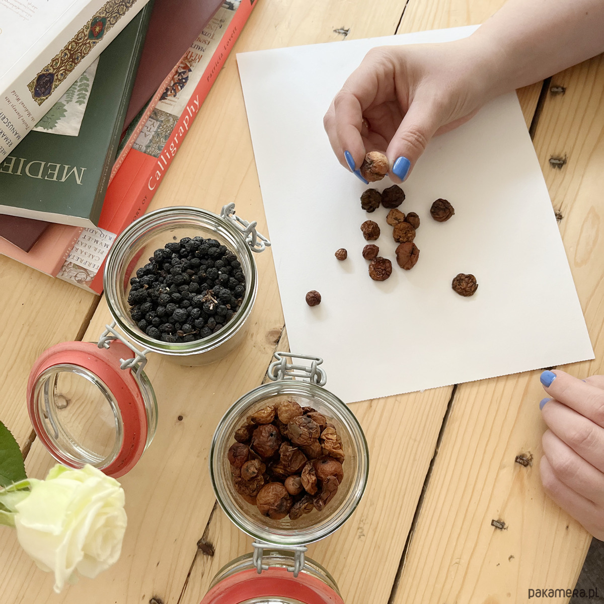 Warsztaty inne W średniowiecznym skryptorium: piękna i smukła tekstura gotycka 1