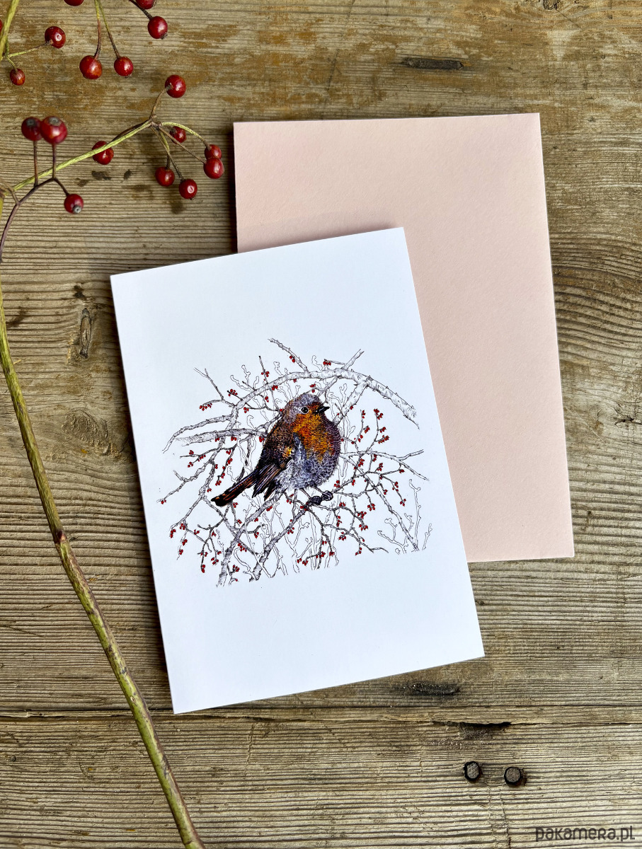 kartki okolicznościowe - wydruki Rudzik- Kartka- Grafika- Ilustracja- Ptaki 1