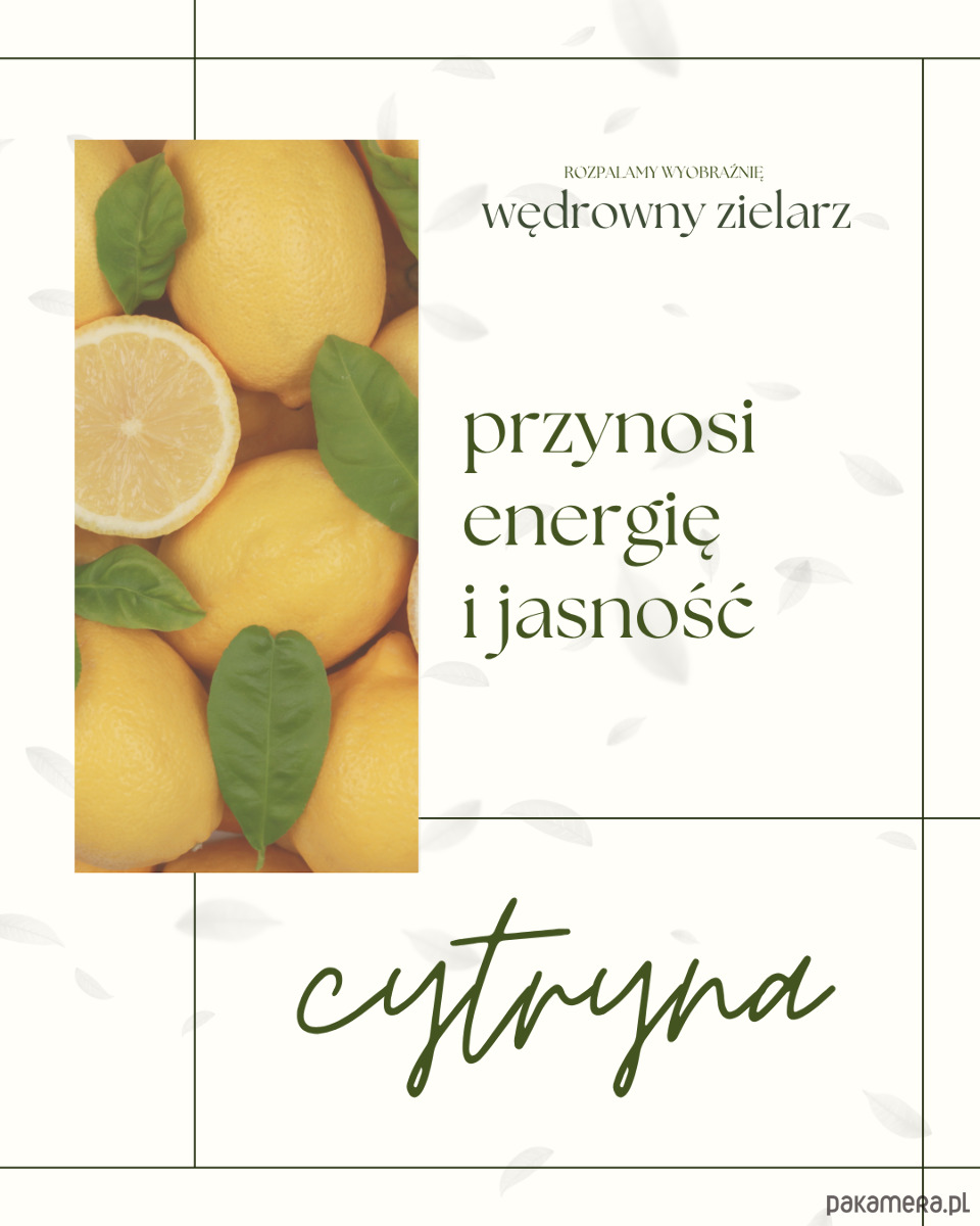 świeczniki i świece Wędrowny zielarz 3