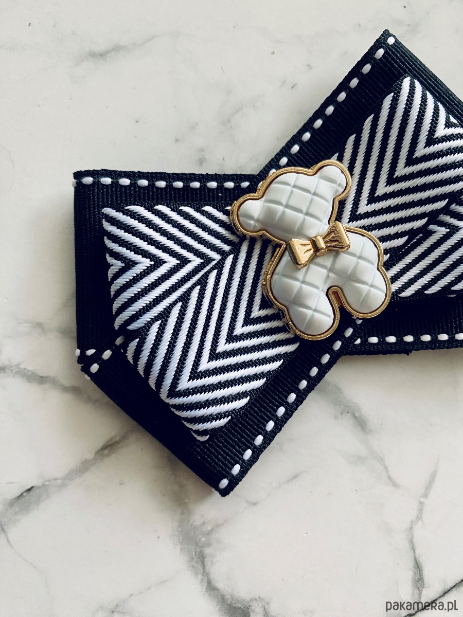 broszki Brosza z MISIEM Nowość 4