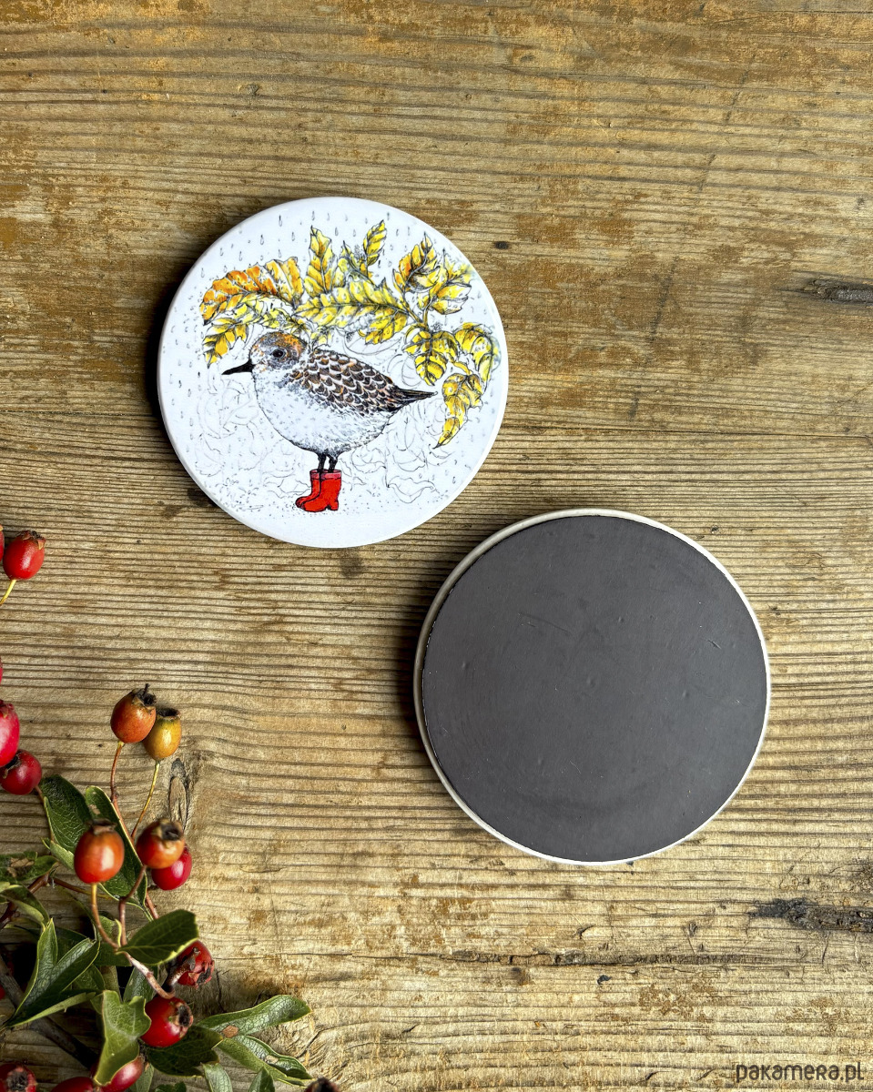 magnesy Biegus-Ptaszek- Magnes ceramiczny- Ilustracja- Ptaki 1