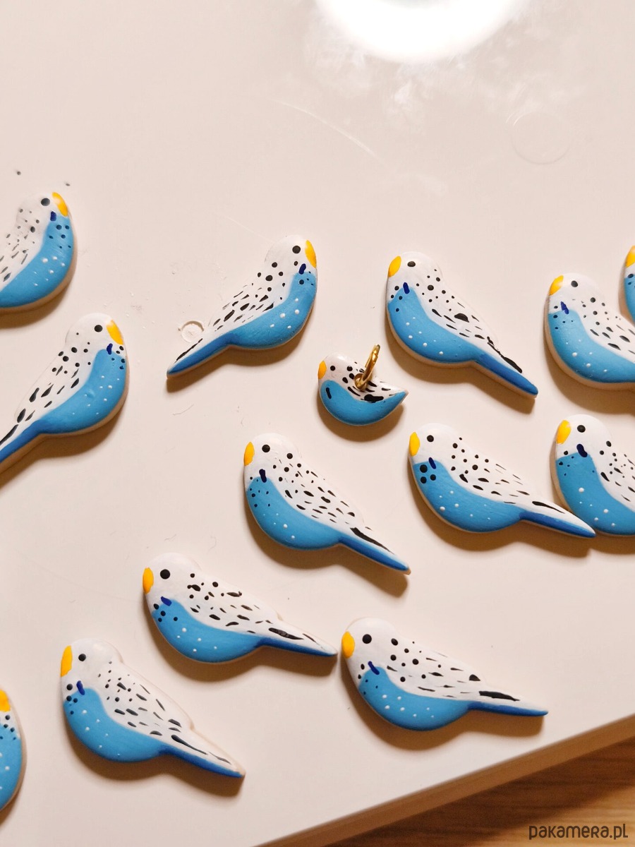 kolczyki z masy plastycznej Kolczyki papużki faliste z wizerunkiem ptaszka w kolorze biało niebieskim 3
