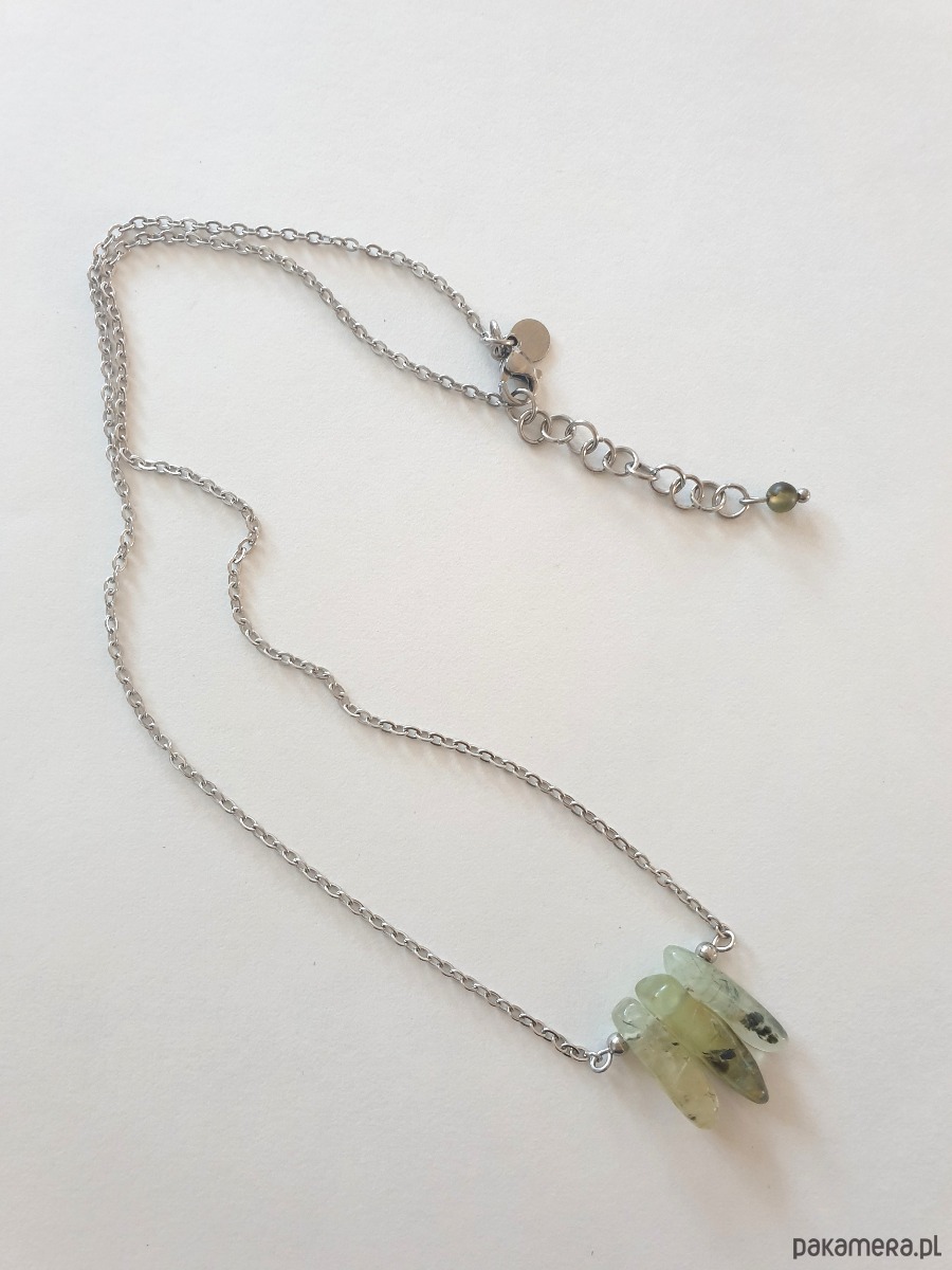 wisiory Łańcuszek z wisiorem ROOTS phrenit 4