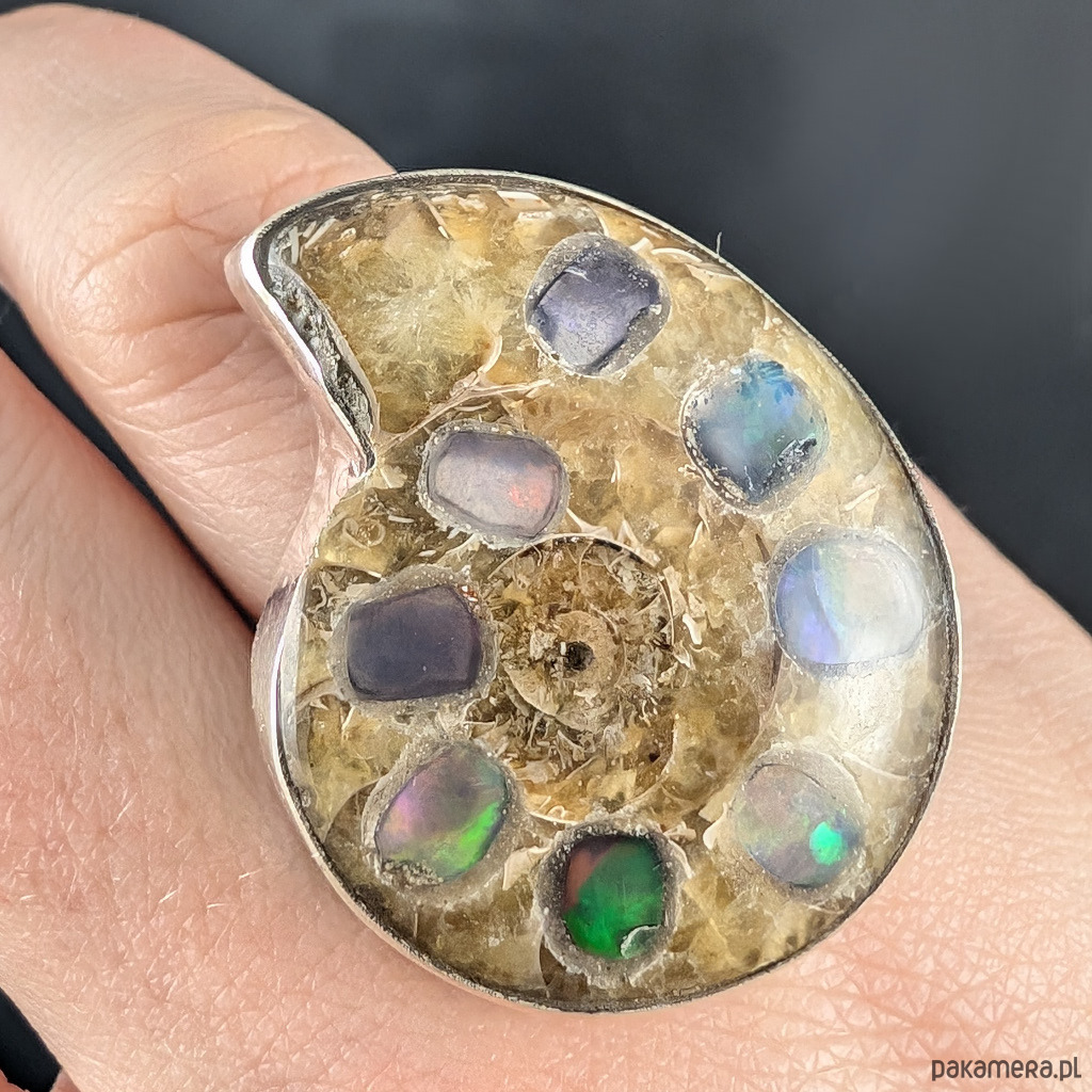 pierścionki srebrne Pierścionek fossil & opal 4