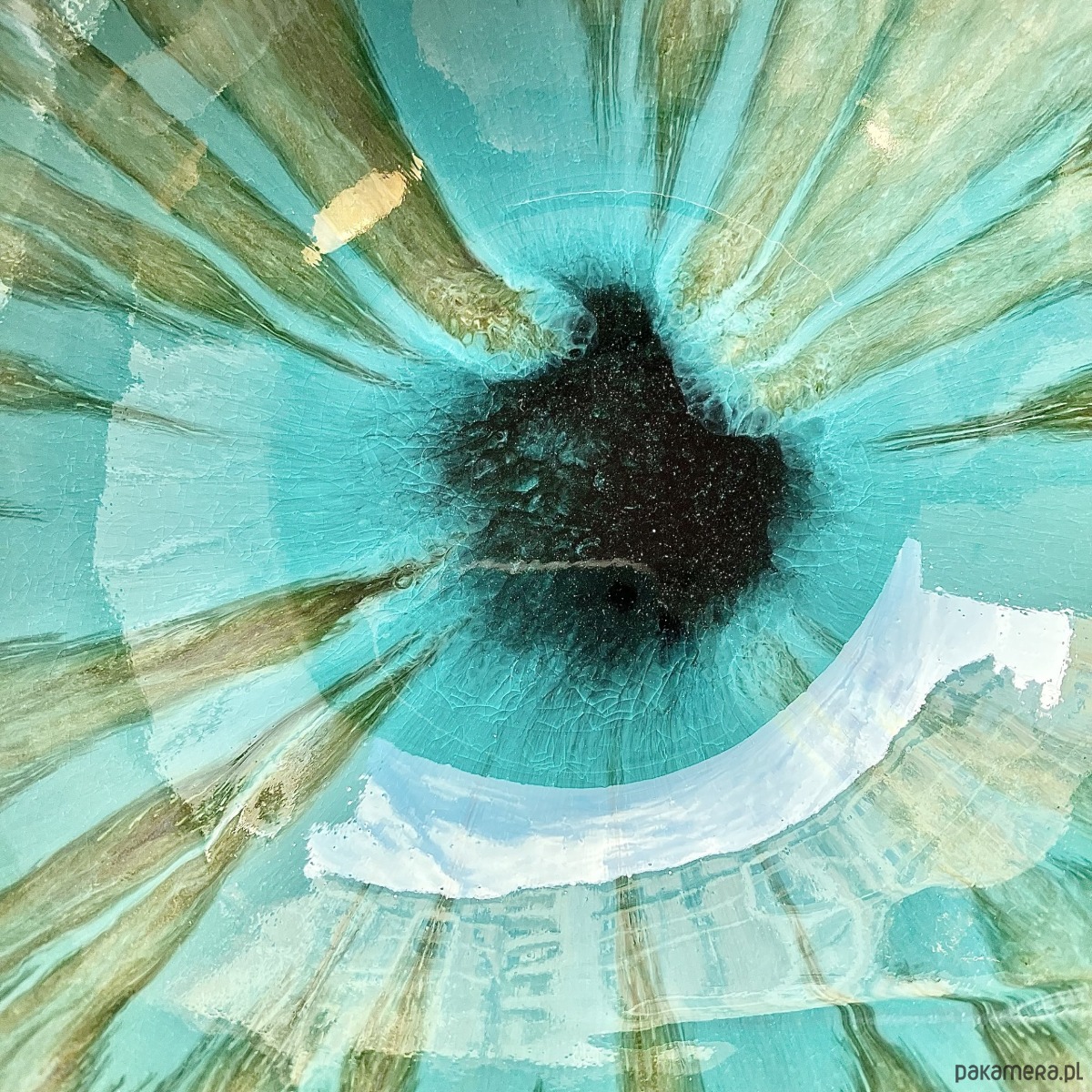 miski i misy Miska *Lizard* 20cm 2