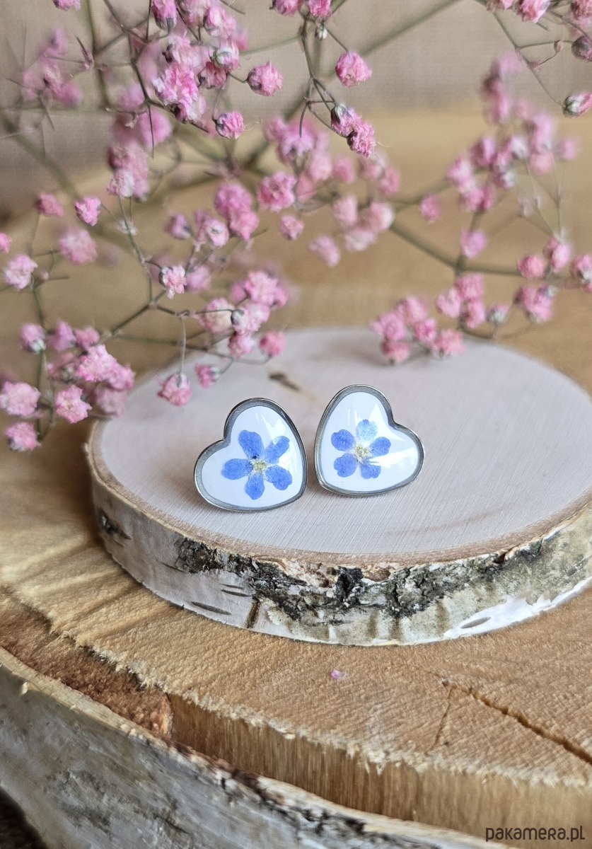 kolczyki z żywicy Kolczyki z kwiatami srebrne kwiaty niezapominajki niezapominajkami prawdziwe 1