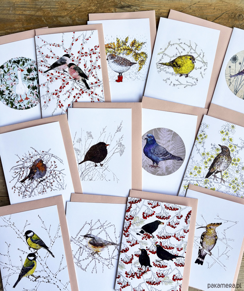 kartki okolicznościowe - wydruki Zimowy Kos- Kartka- Grafika- Ilustracja- Ptaki 3