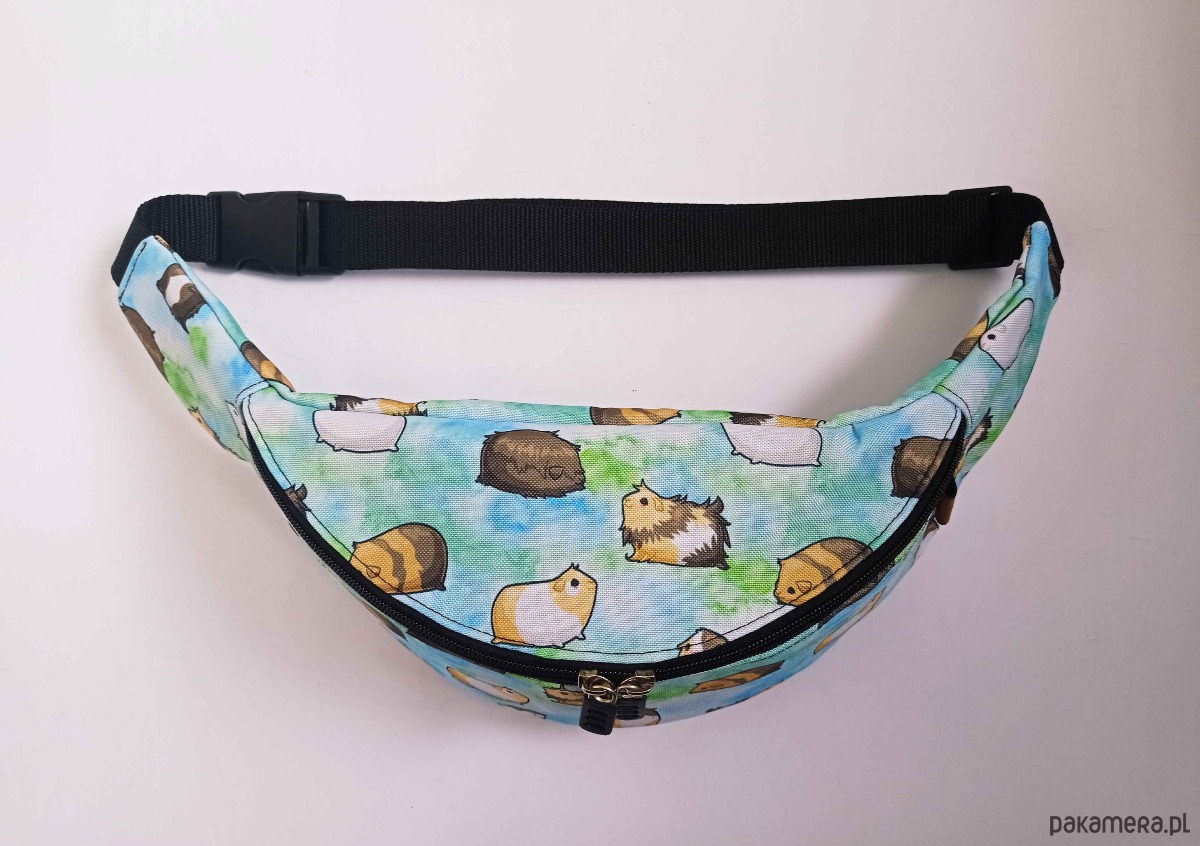 saszetka nerka Nerka świnki morskie na niebieskim tle 7