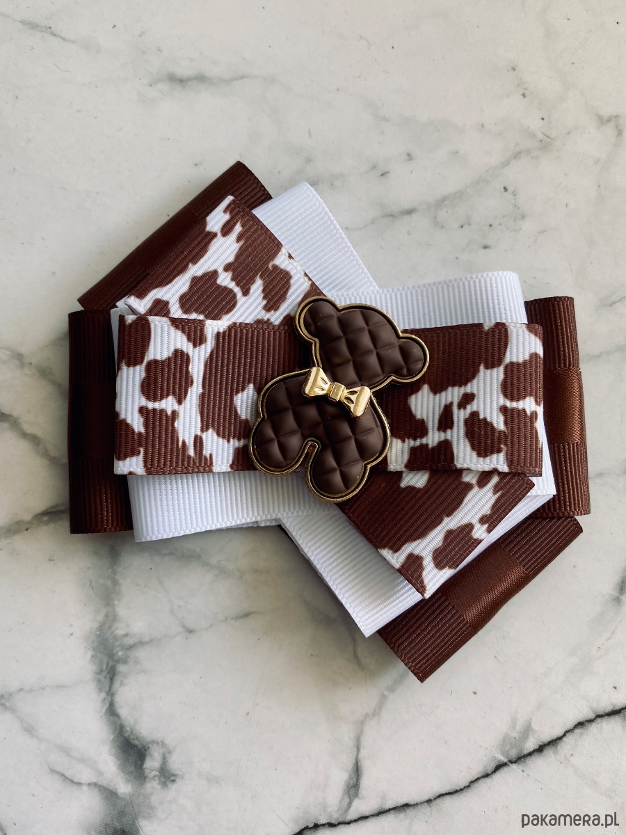 broszki Jesienna Brosza  z  czekoladowym MISIEM Nowość 1