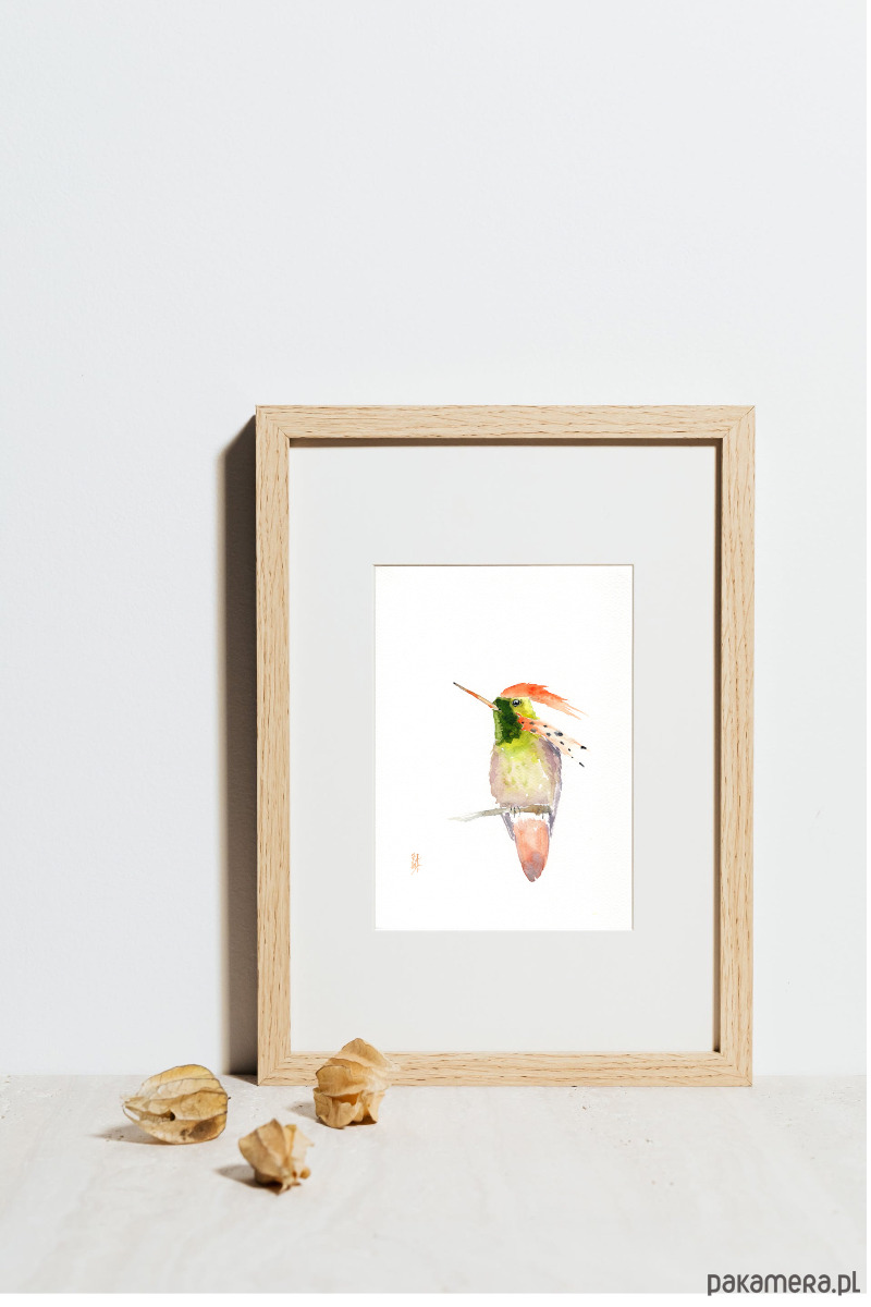 obrazy Oryginalna akwarela. Koliber 2