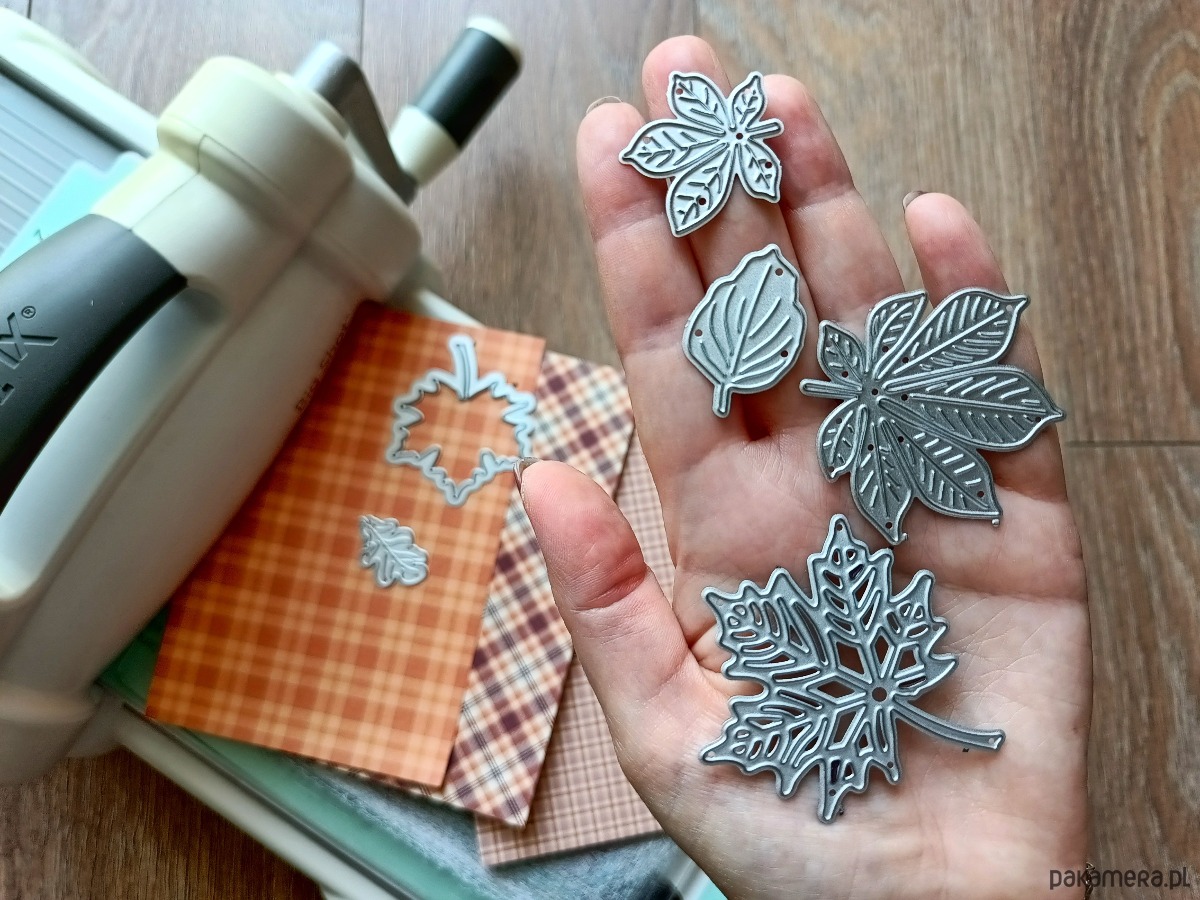 Warsztaty inne Tworzenie kartki Jesienne motywy za pomocą maszyny do wycinania 1