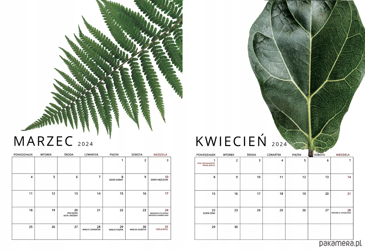 kalendarze i plannery Kalendarz ścienny na Spirali Botaniczny A3 Premium 2