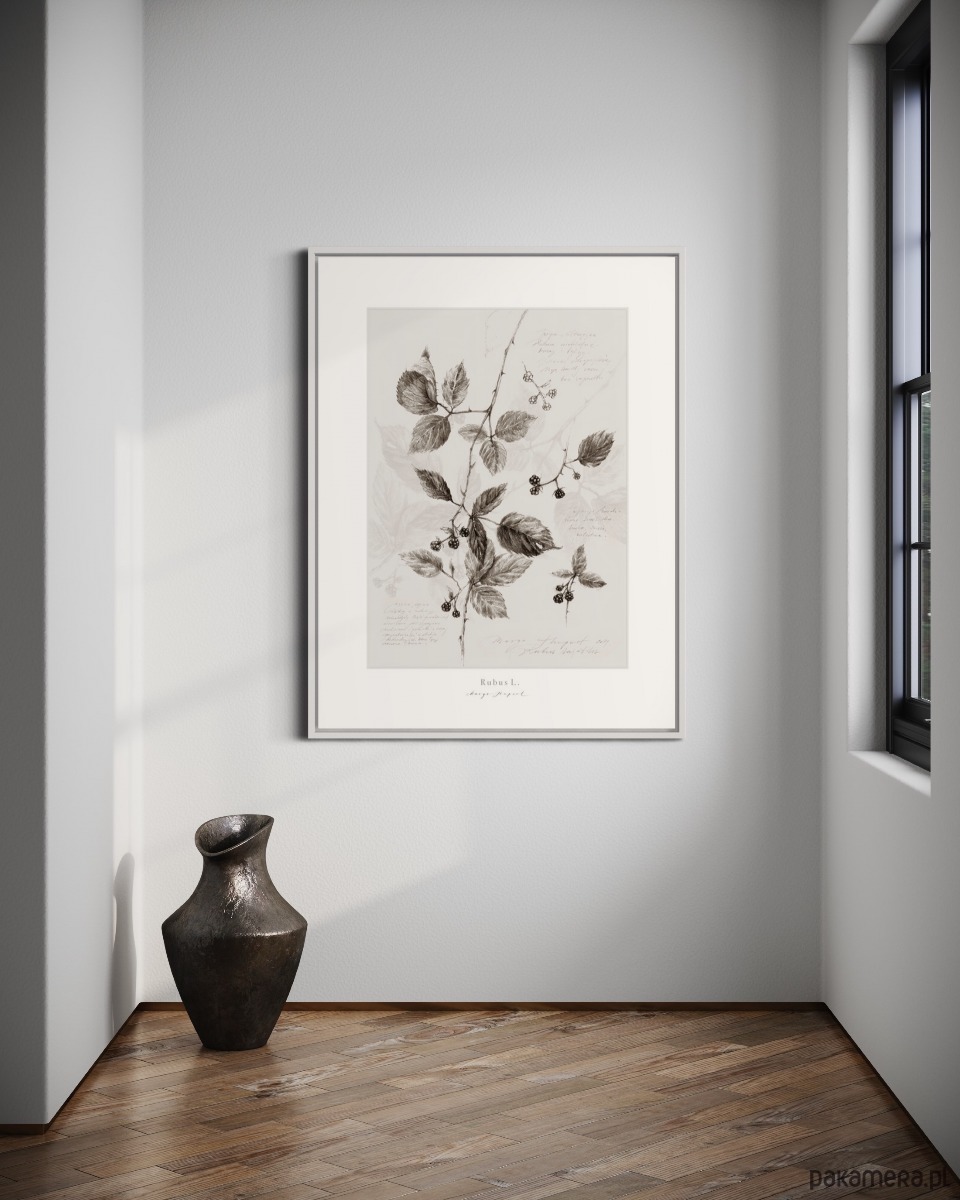 plakaty Plakat Jeżyna 3