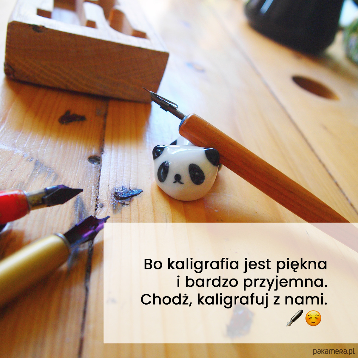 Warsztaty inne Jak zacząć? - kaligraficzne początki 14.11.2025, piątek, 18:00-20:00 1
