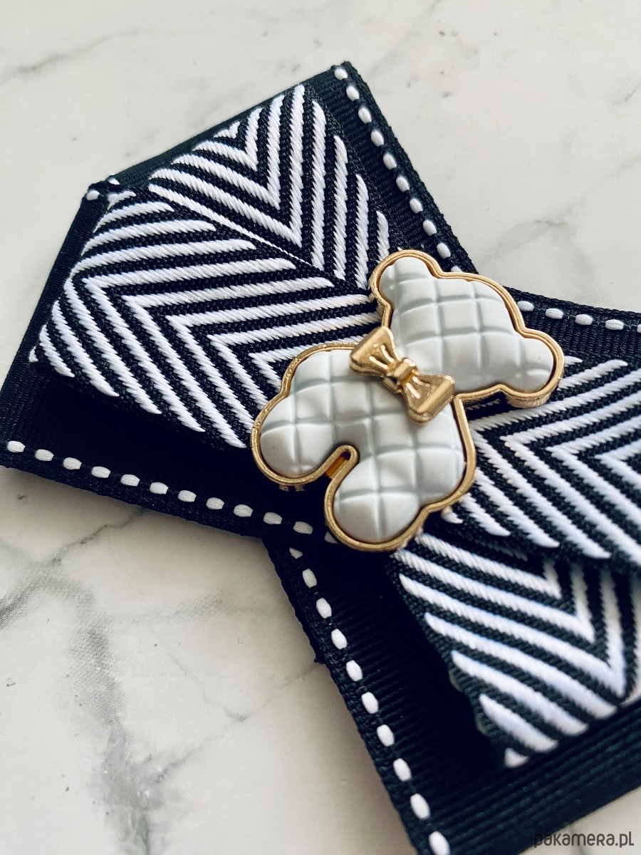 broszki Brosza z MISIEM Nowość 5