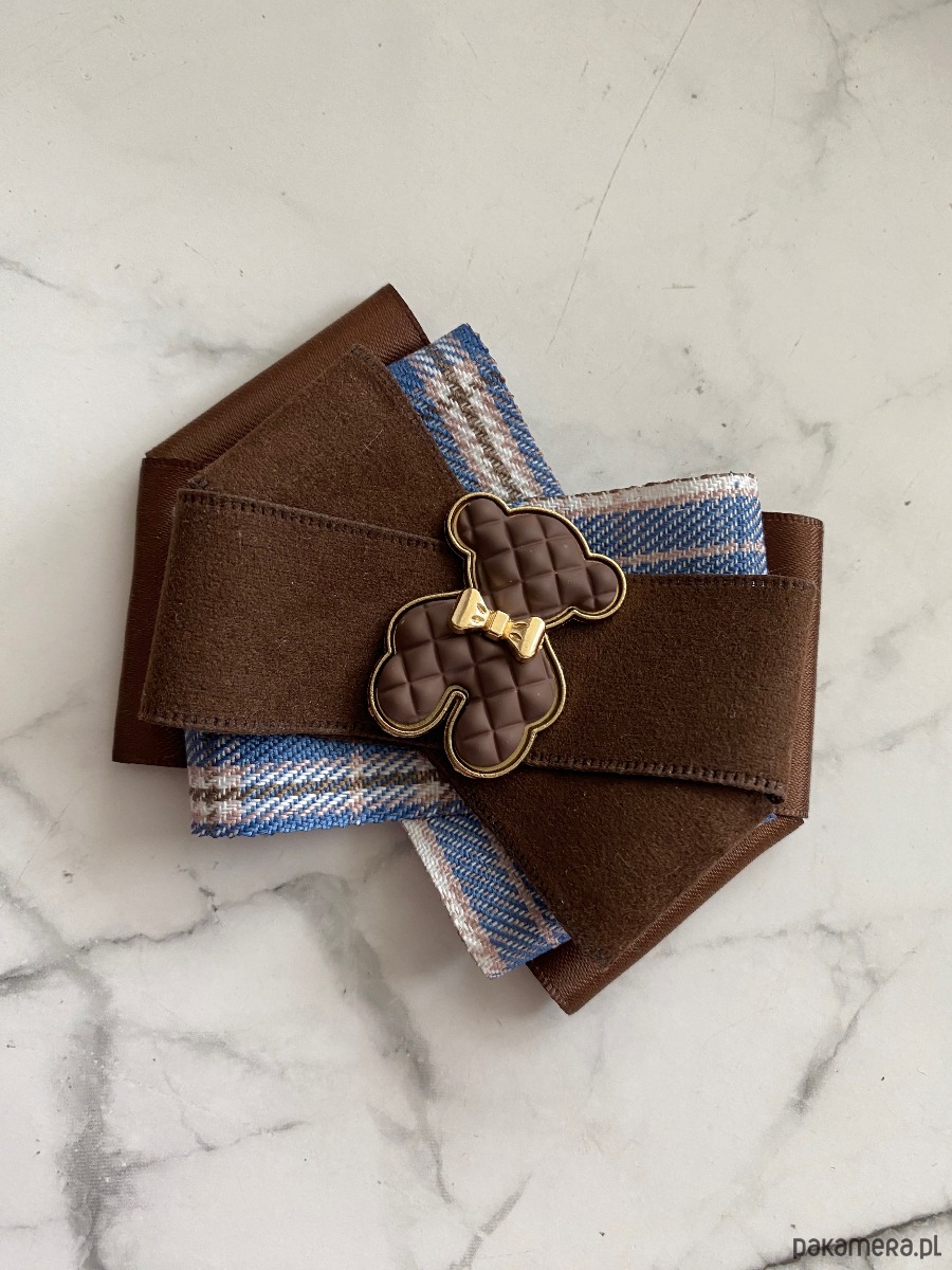 broszki Jesienna Brosza  z  czekoladowym MISIEM Nowość 3