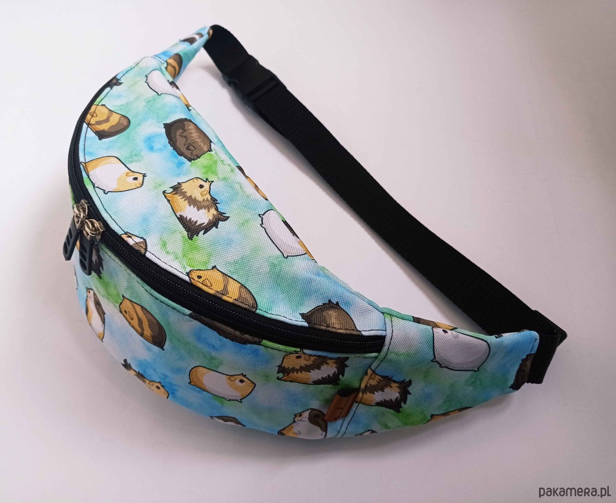 saszetka nerka Nerka świnki morskie na niebieskim tle 6