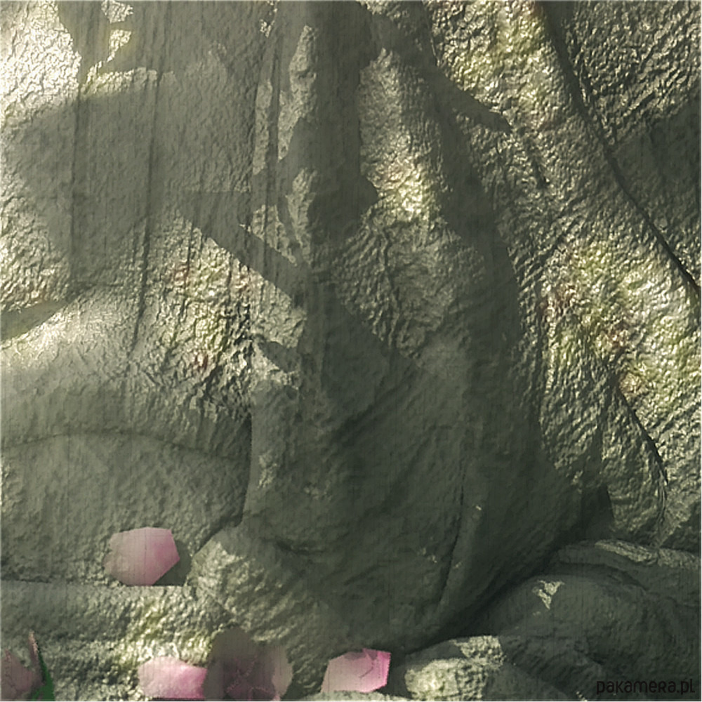 obrazy Obraz - Budda - wydruk na płótnie 2