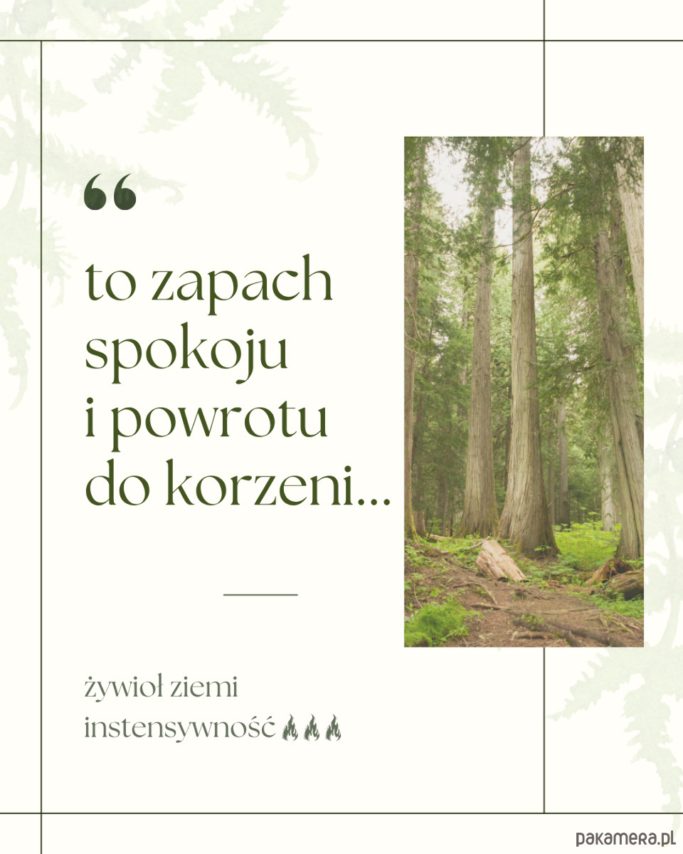 świeczniki i świece Runo leśne 1