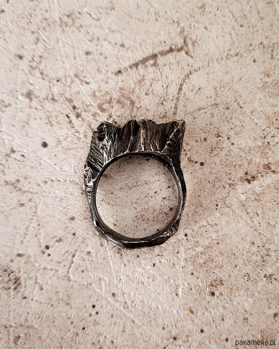 biżuteria męska Pierścionek - sygnet MOUNTAIN męski 2