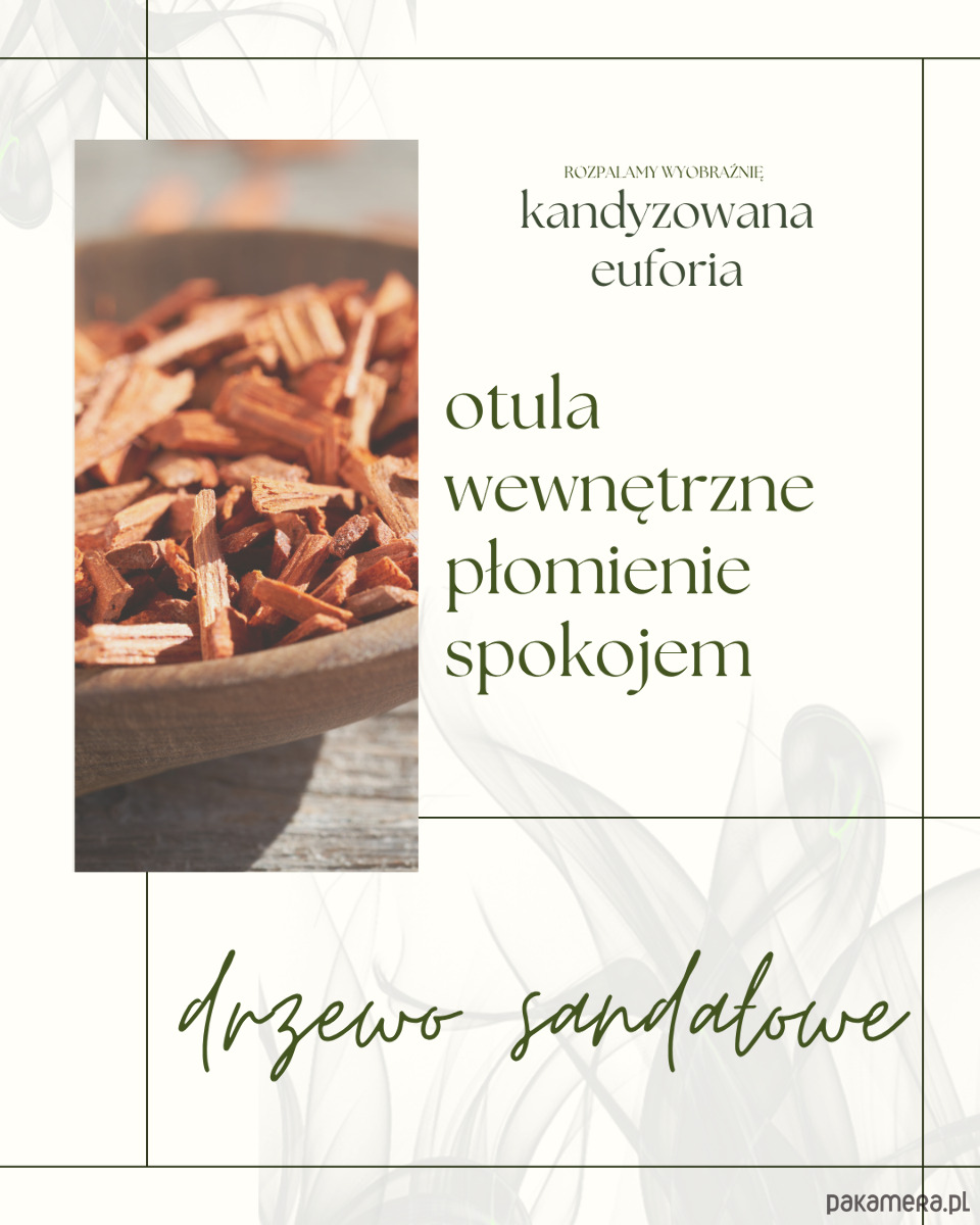 świeczniki i świece Kandyzowana euforia 3