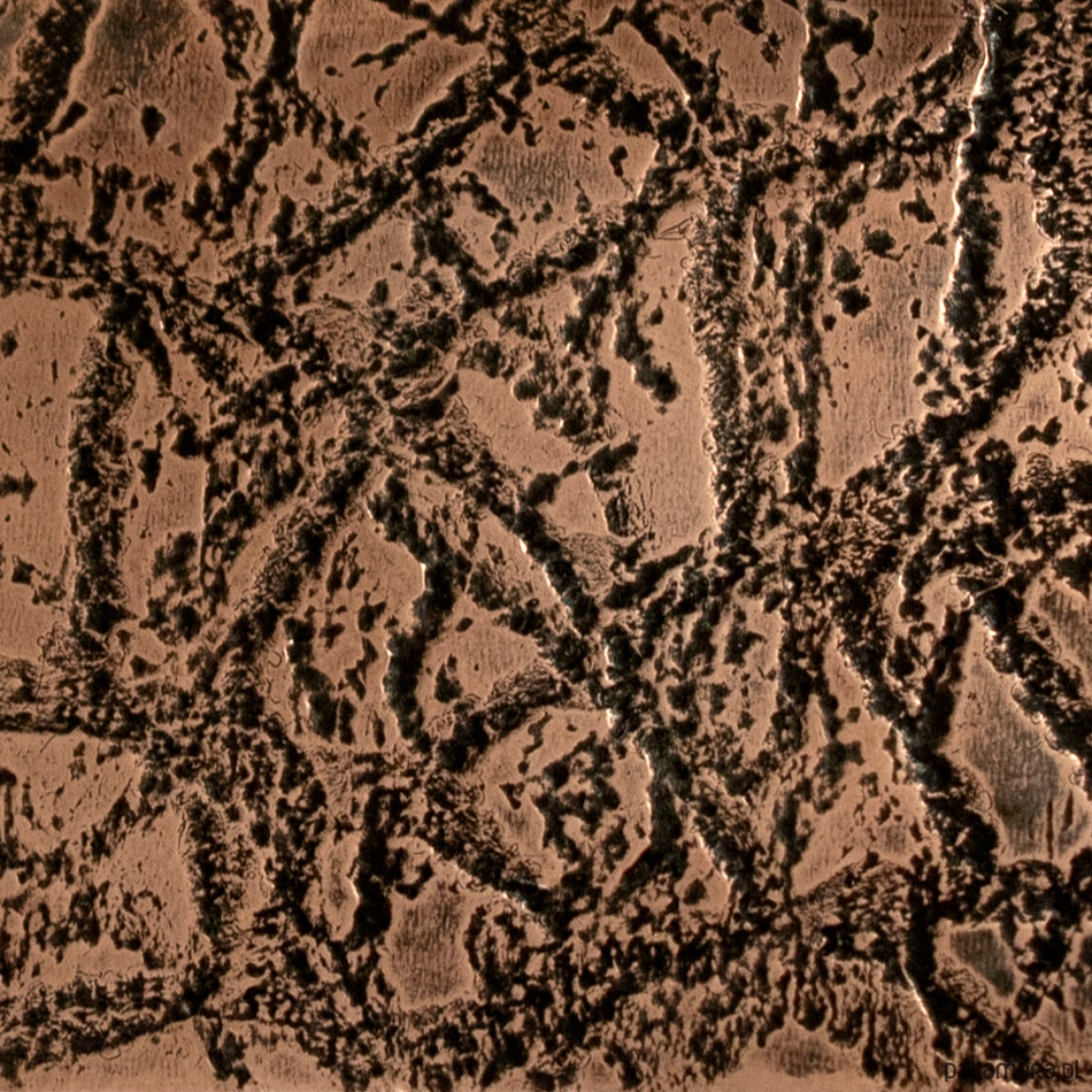 wisiory Pajęczyna - miedziany wisior - unikat 2