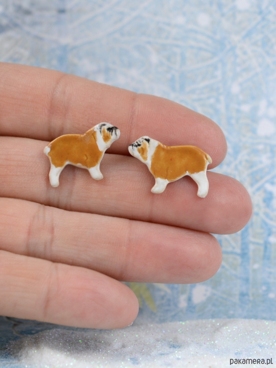 kolczyki ceramiczne Buldog angielski miniaturka- ceramiczne sztyfty 2