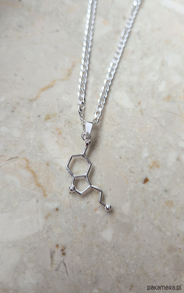 biżuteria męska Naszyjnik męski SEROTONINA - srebro 925 1