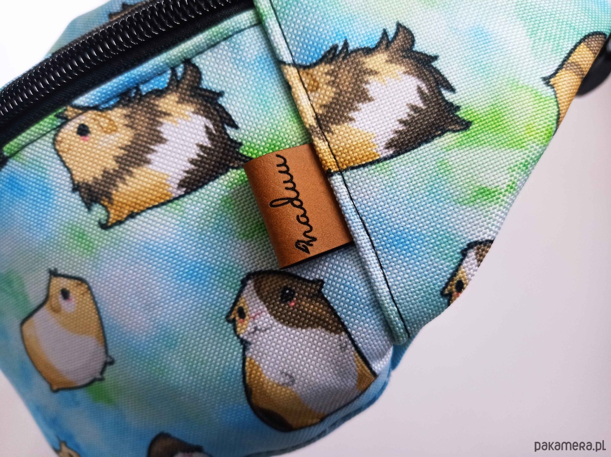 saszetka nerka Nerka świnki morskie na niebieskim tle 5