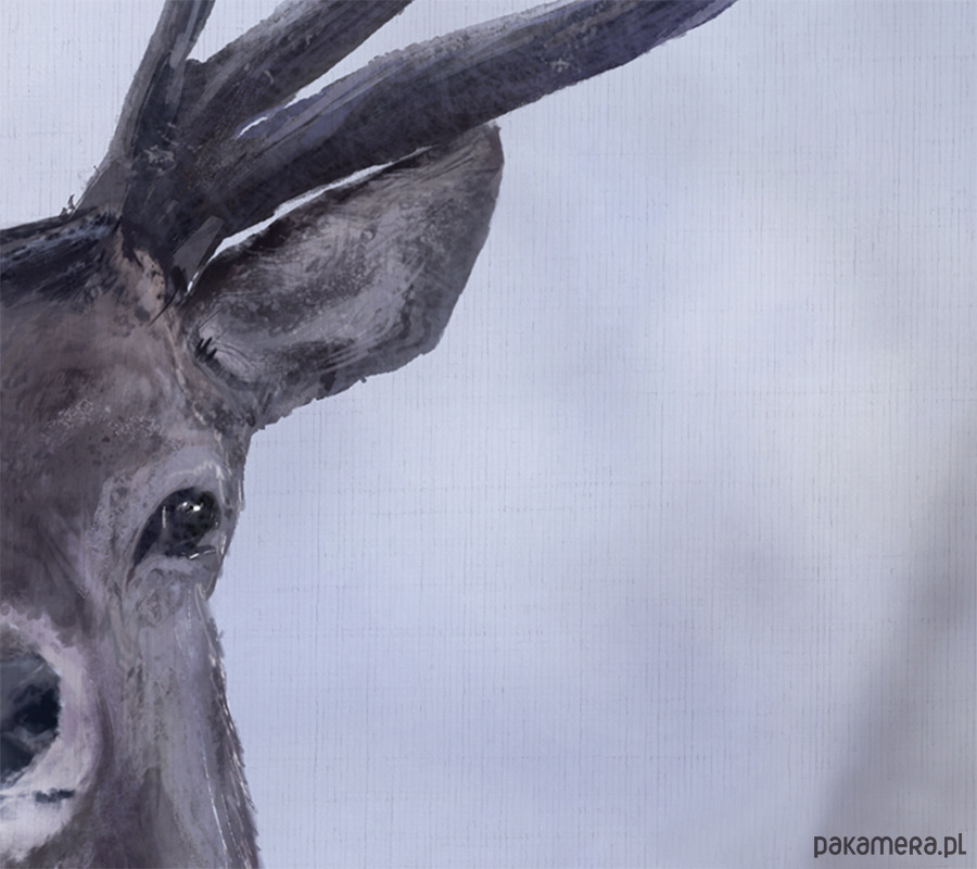 obrazy Obraz - Jeleń - wydruk na płótnie 3