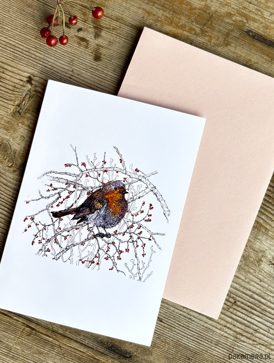 kartki okolicznościowe - wydruki Rudzik- Kartka- Grafika- Ilustracja- Ptaki 2