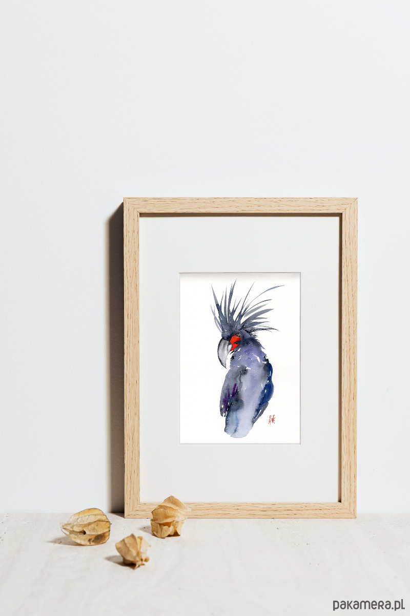 obrazy Oryginalna akwarela. Papuga 1
