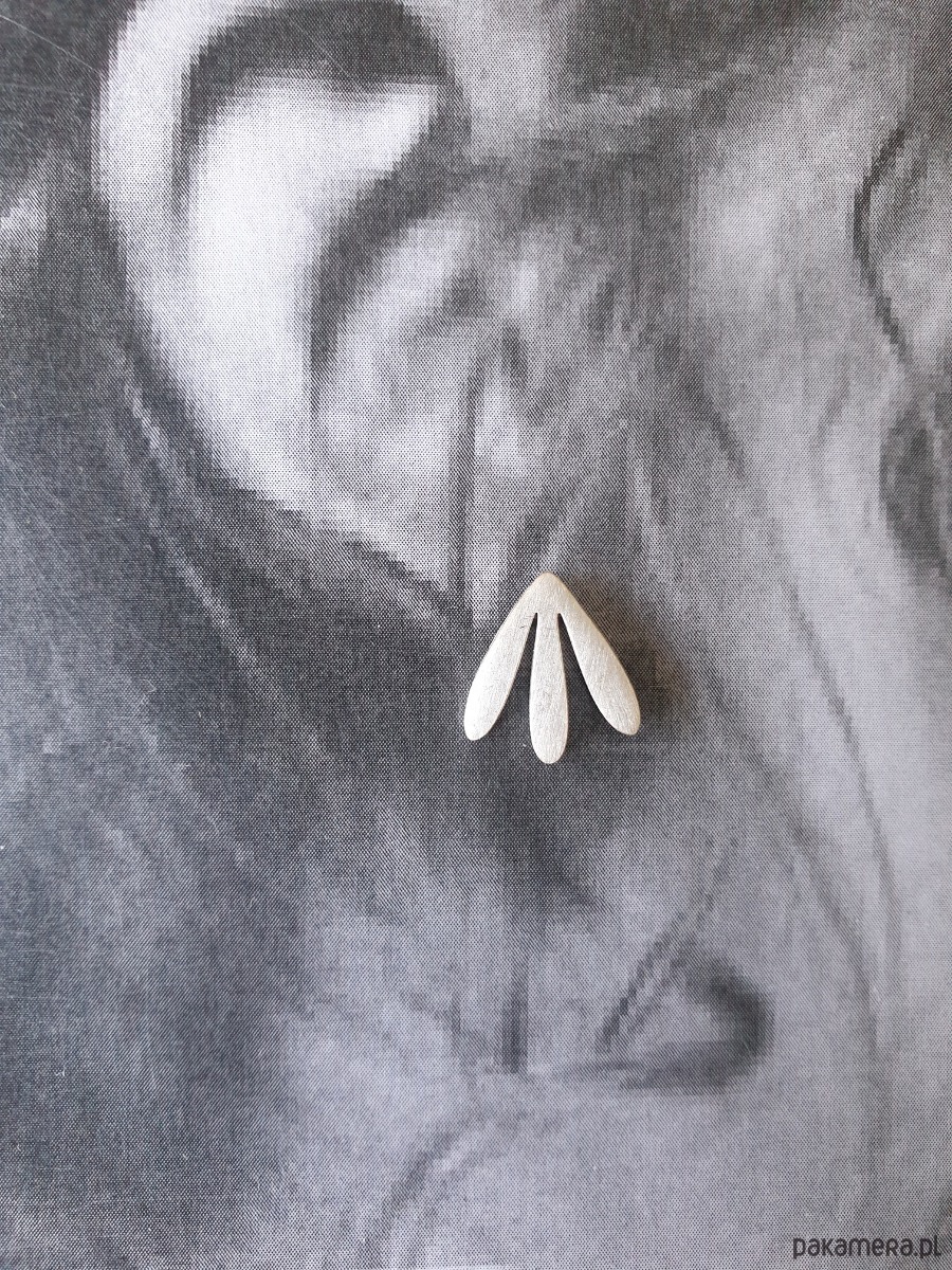 kolczyki z mosiądzu Kolczyki GARDEN OF EDEN  mini, mosiądz, liście srebrne 2