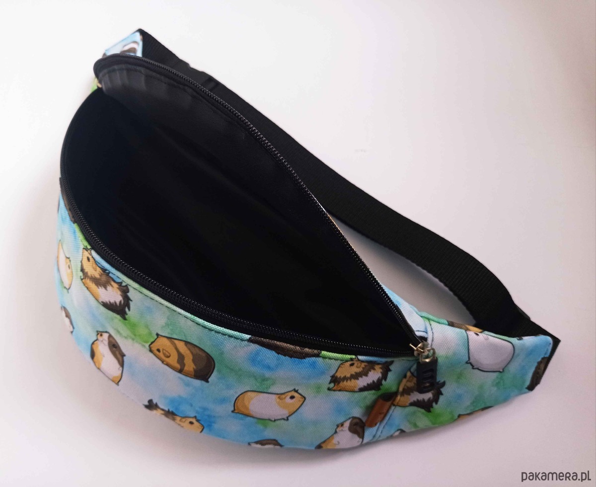 saszetka nerka Nerka świnki morskie na niebieskim tle 4