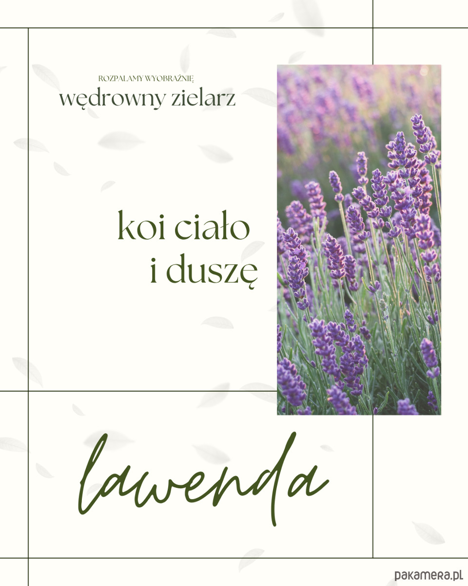 świeczniki i świece Wędrowny zielarz 6