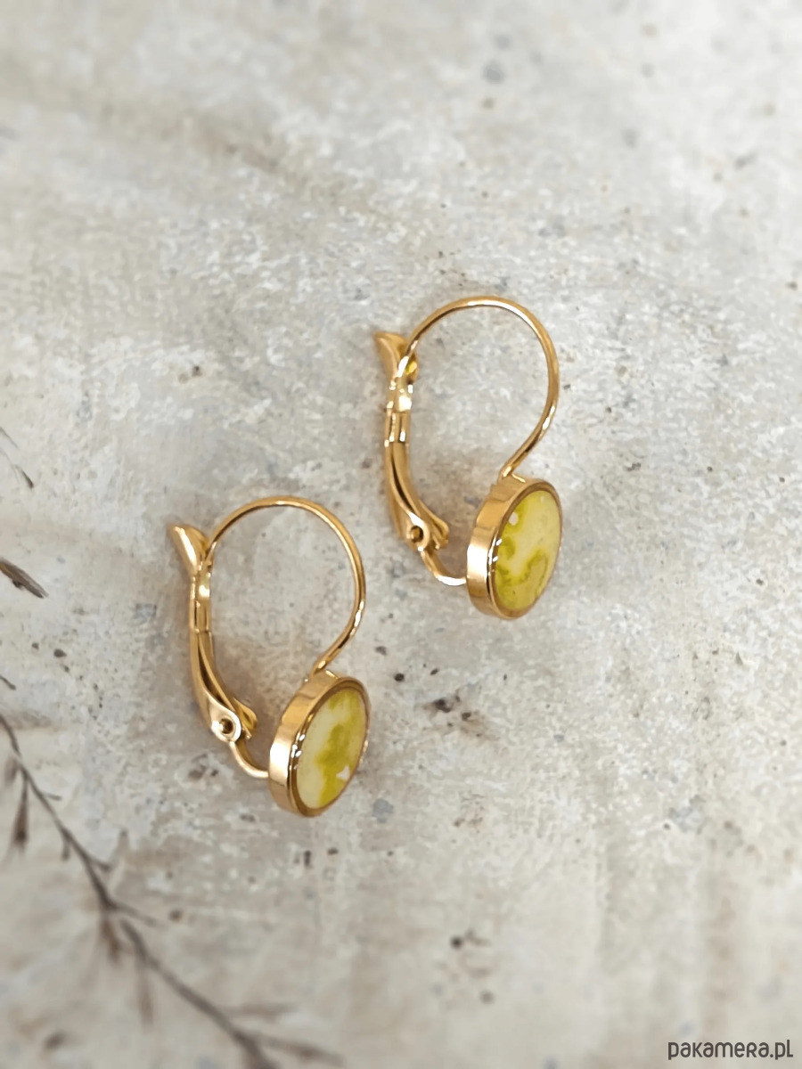 kolczyki z żywicy Kolczyki wiszące z kolekcji Apis 1