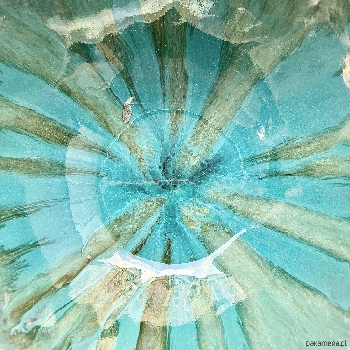 miski i misy Miseczka *Lizard* 15cm 2